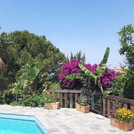 Villa Suites Lagonisi Luxury Eksteriør bilde