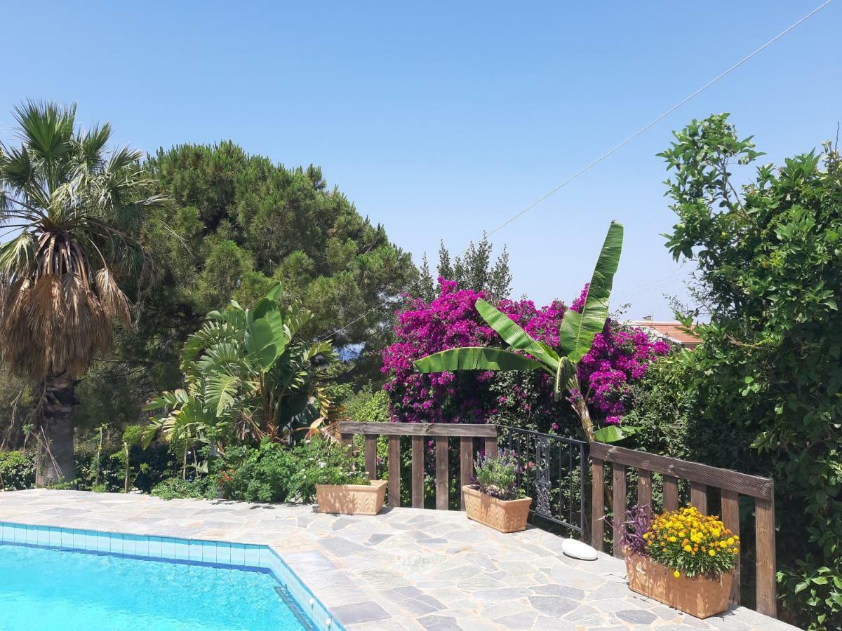 Villa Suites Lagonisi Luxury Eksteriør bilde